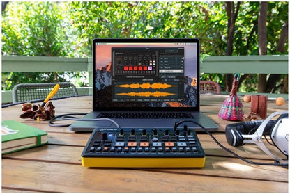 Roland AIRA Compact P-6 Creative Sampler
