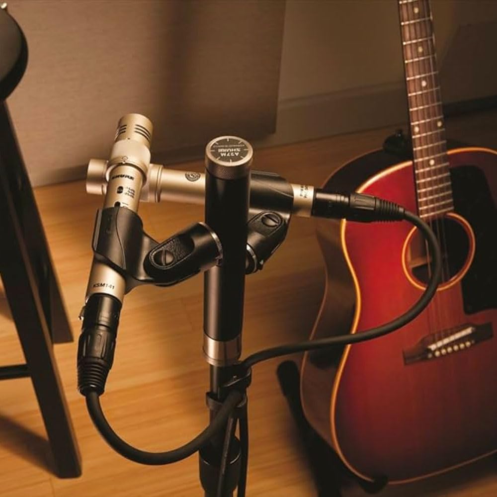 Shure KSM141/SL Dual-Pattern End-Address Condenser Studio Microphone, Champagne