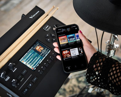 Roland TD313 Pad Set